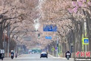 南宁共建“花园城市” 北京这场议政会“百花齐放”