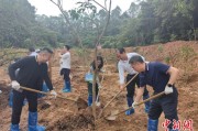 南宁广州已打造首批32处“绿美宗教活动场所”