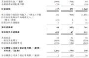 南宁富卫集团四闯港股IPO：通过私募股权融资及次级债“续命” 勉强扭亏背后财务表现仍欠佳