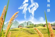 南宁芒种节气小知识来了 夏种作物都有什么？