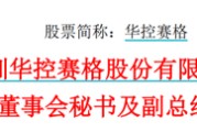 南宁华控赛格董事长、董秘、副总经理三高管同日辞职